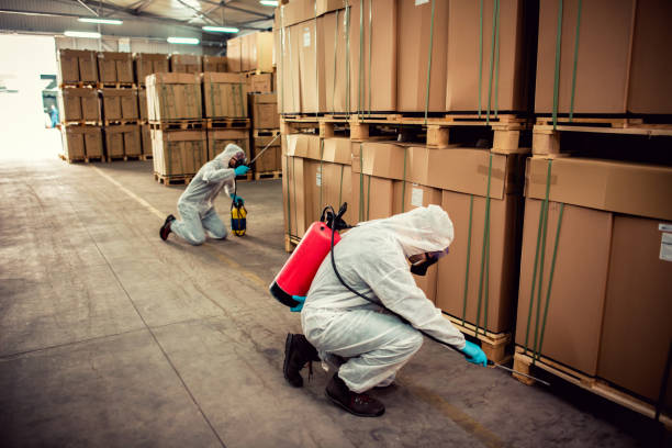 Pest Control Cost in Burlington, VT