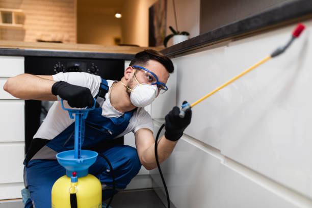 Best Pest Prevention Services  in Burlington, VT