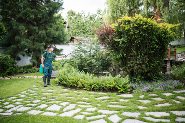 Best Cockroach Control Services  in Burlington, VT
