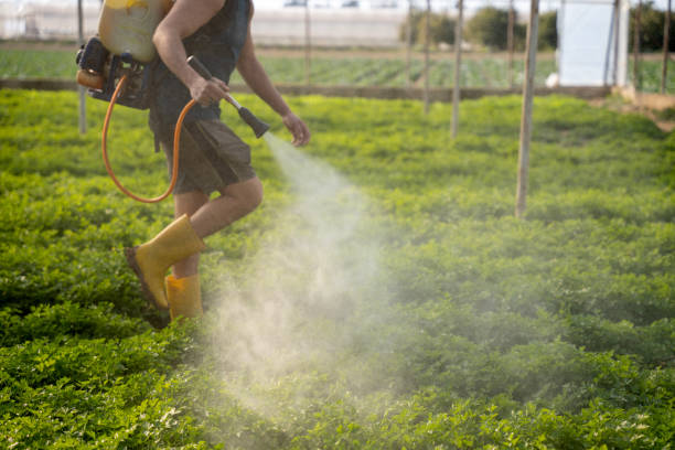Best Affordable Exterminators  in Burlington, VT