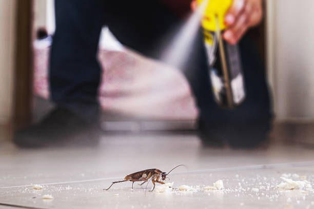 Best Cockroach Control Services  in Burlington, VT