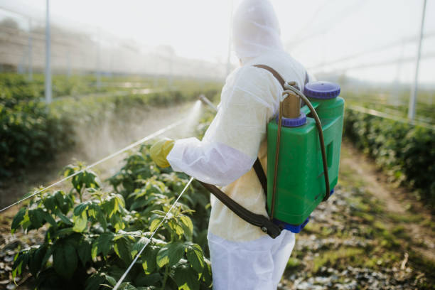 Flea Control Services in Burlington, VT